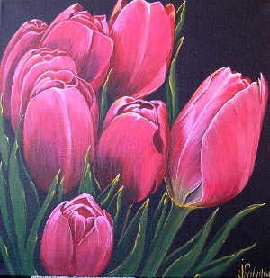 Red tulips 300x309 px