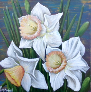 White daffodils 300x303 px