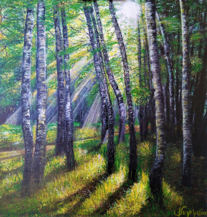 Morning in the birch forest 300x314 px