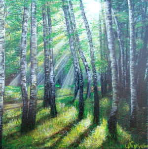 Morning in the birch forest 300x301 px