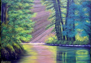 Morning in the forest 300x208 px