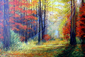 Morning in the autumn forest 300x202 px