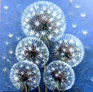 Dandelion 300x297 px