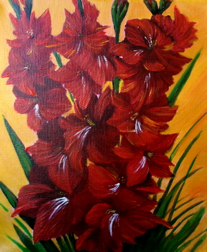 Gladiolus 300x365 px